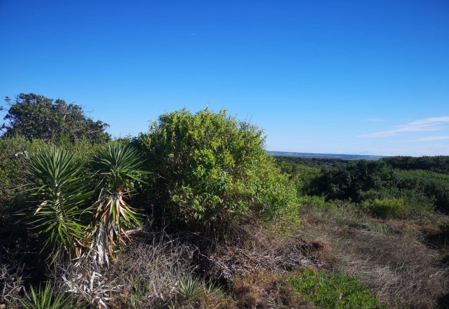 0 Bedroom Property for Sale in Paradise Beach Eastern Cape